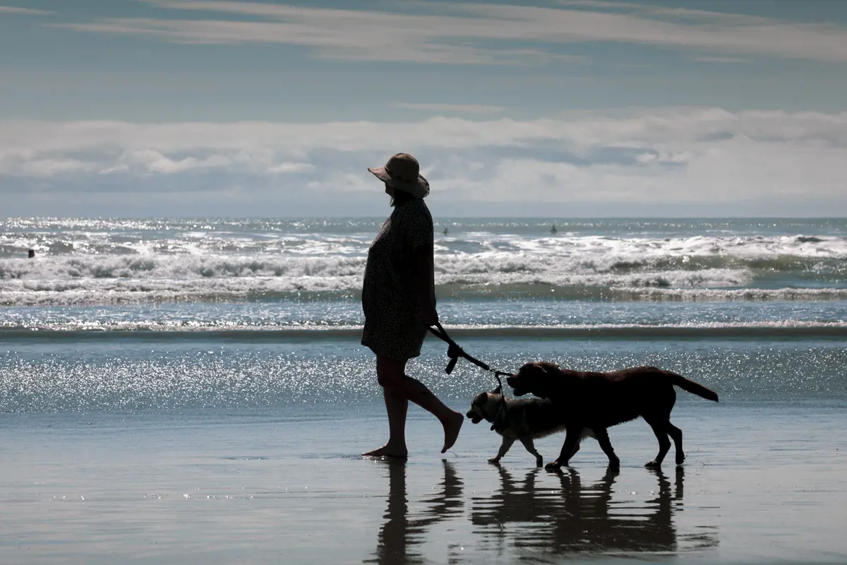 A woman in a sun hat walking along the beach with two dogs on leads.