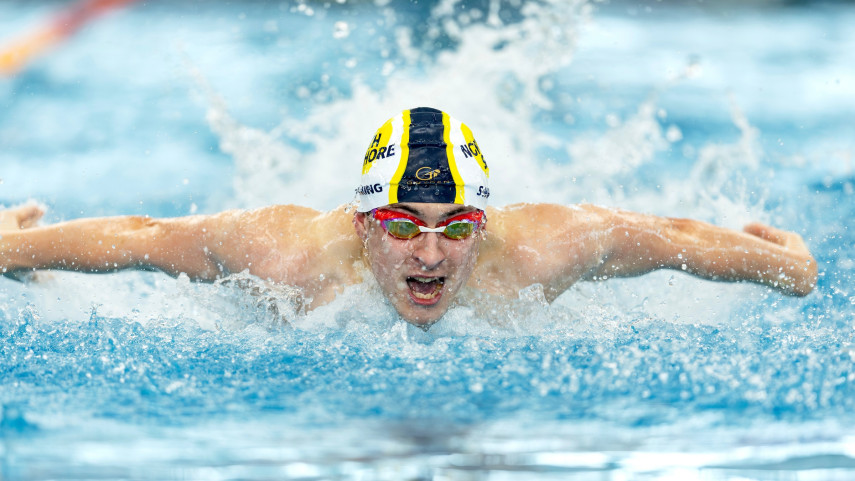 Parakiore 169 Fillwzg1nsw0odfd